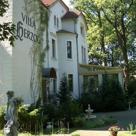 Hotel Villa Herzog Dresden Exterior photo