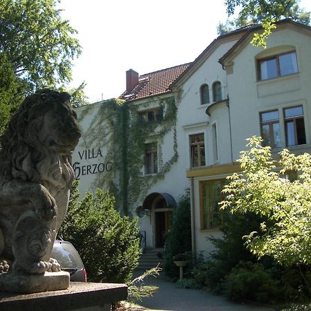 Hotel Villa Herzog Dresden Exterior photo
