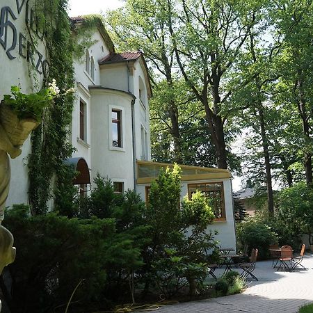 Hotel Villa Herzog Dresden Exterior photo